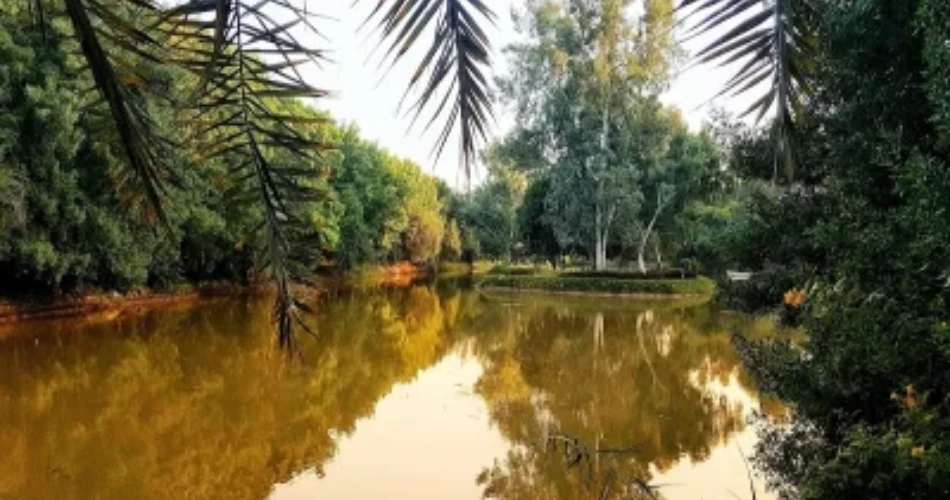 Lal Suhanra National Park